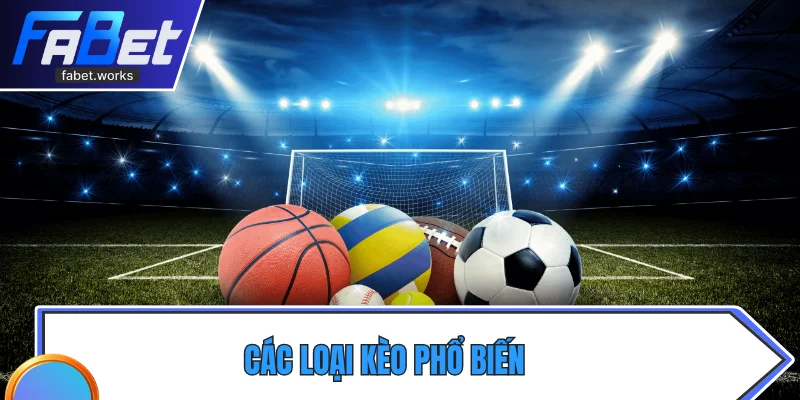 Các loại kèo phổ biến, phù hợp người mới bắt đầu