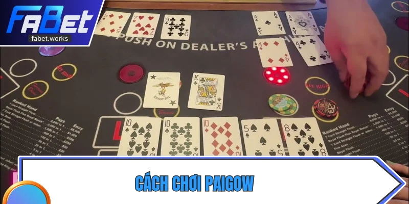 Cách chơi Paigow 