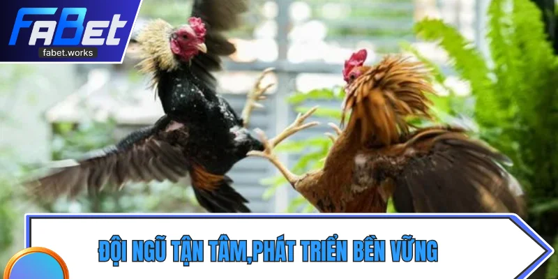 Đội ngũ tận tâm,phát triển bền vững