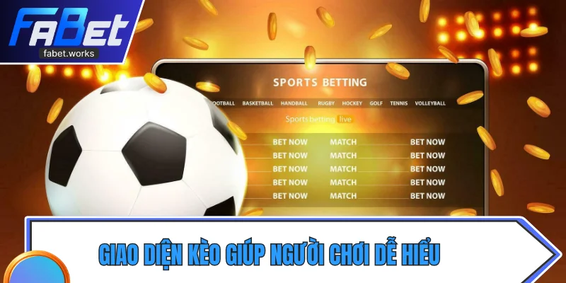 Giao diện kèo giúp người chơi dễ hiểu cách đọc tỷ lệ chấp nhận